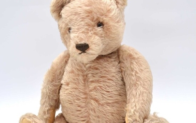 Steiff teddy bear, 1950s, with growler and hump back.