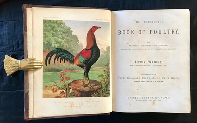 The Illustrated Book of Poultry. With practical schedules for judging, constructed from actual analysis of the best modern decisions.