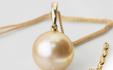 15x16mm Large Golden South Sea Pearl - 14 kt. Yellow