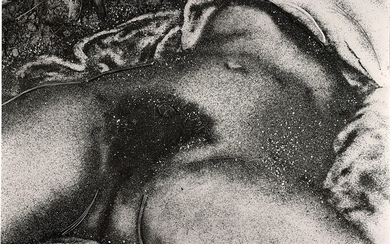 Vik Muniz, The Origin of the World, after Courbet (from Pictures of Soil)