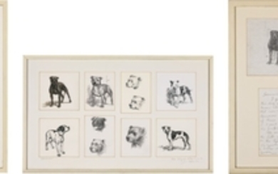 A SET OF 12 DOG STUDIES, Basil Blackshaw, H.R.H.A