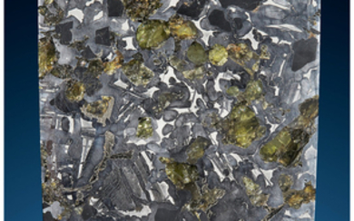 Seymchan Meteorite Slice Pallasite, PMG Magadanskaya Oblast, Russia...