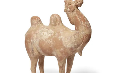 A Chinese pottery figure of a camel Tang dynasty The robust animal...