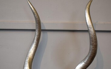 A PAIR OF DECORATIVE SILVER HORNS ON PERSPEX BASES (82CM HIGH)