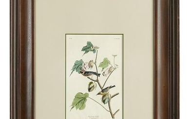 After John James Audubon (US, 1785-1851)