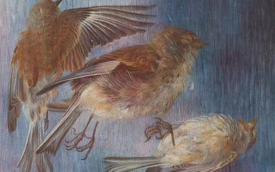 Bernard Perlin American, 1918-2014 Dead Sparrows, 1951