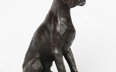 British or American School Bronze Boxer Bulldog