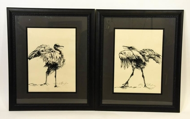 Charcoal Framed Bird Drawings by Marilyn Borglum