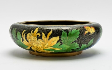 Chinese Cloisonne Chrysanthemum Bowl