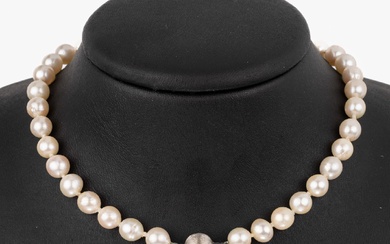 Collier de perles de culture avec fermoir à bille en or 14 carats, WG 585/000,...