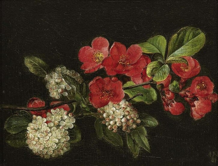 Dänemark (?), um 1861 - Blütenzweig