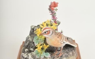 Dorothy Doughty for Royal Worcester "Lark Sparrow with