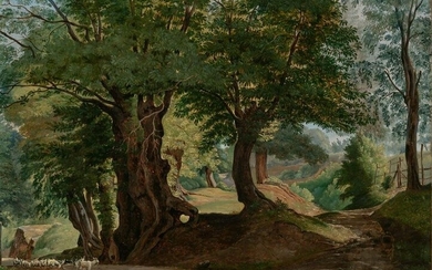 Ernst Willers German, 1803-1880 A Forest Interior near