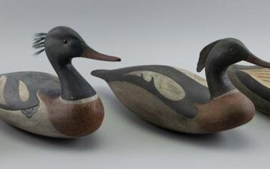 FOUR CONTEMPORARY MERGANSER DECOYS 20th Century Length from 15” to 18”.