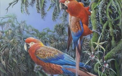 Johnston original watercolor of Two Cuban Macaws