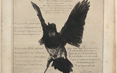 Lucien BRACQUEMONT (1833-1914) Corbeau Plume et encre signée en bas à gauche au crayon. 25,5...