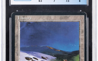 Magic: The Gathering Artist Proof Plains (Butterfly) Spanish Ice...