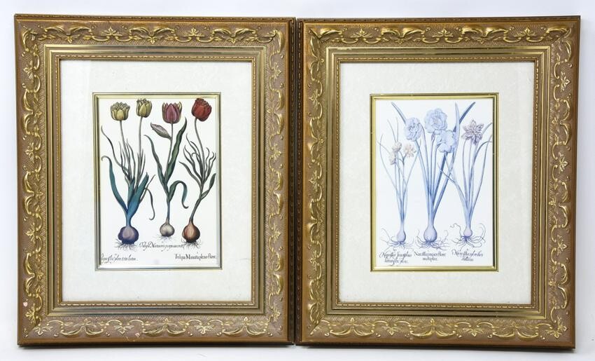 Pair of Gilt Framed & Matted Botanical Prints