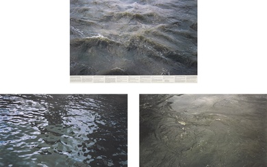 Roni Horn, Still Water (The River Thames, For Example), D, O, I