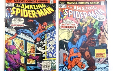 The Amazing Spider-Man Marvel Comics Group of 2