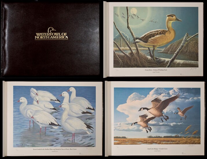 Waterfowl of North America - 44 Color Plates - by Ducks Unlimited
