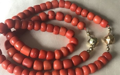 14 kt. Blood coral. - Bracelet, Necklace