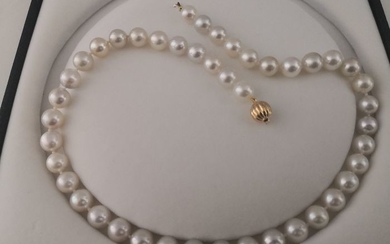 18 kt. South sea pearls, 10-11 mm round shape, high orient - Necklace