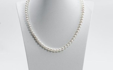 Tiffany & Co. Ziegfeld Collection Pearl NecklaceSilver - Necklace