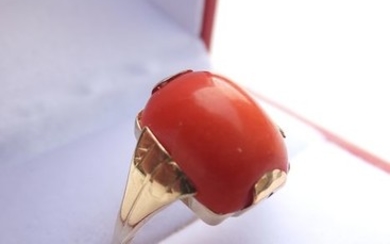14 kt. Gold - Ring blood coral