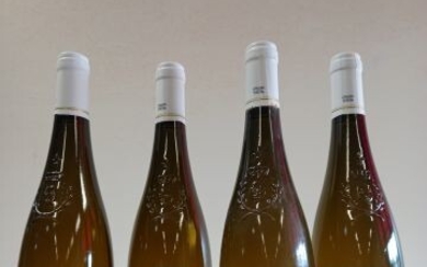 4 bouteilles de Côteaux de l'Aubance 2013... - Lot 61 - Enchères Maisons-Laffitte