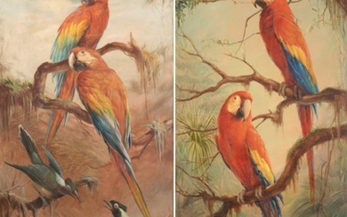 Renato Cataldi (1909-1981) Brazilian ''Macaws'' ''Two Scarlet Macaws'' Each signed,...