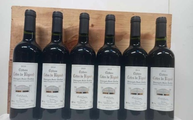 6 bouteilles de Puisseguin Saint Emilion... - Lot 61 - Enchères Maisons-Laffitte