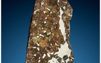 Seymchan Meteorite End Cut Pallasite, PMG Magadanskaya Oblast,...