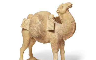 A Chinese glazed pottery figure of a camel Tang dynasty Naturalistically modelled...