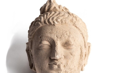 A GANDHARA STUCCO HEAD OF BUDDHA