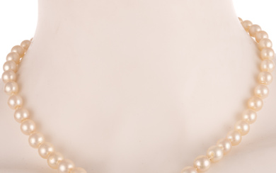 A Strand of Graduated Cultured Pearls in 14K