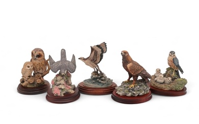 A group of Border Fine Arts models of birds of prey includin...