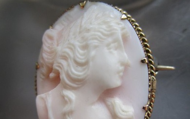 Angel Skin Coral Cameo Gold - Brooch Coral