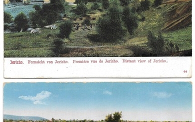 Collection of 22 Postcards of Jericho, Palestine