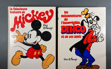 Disney - Mickey - Dingo