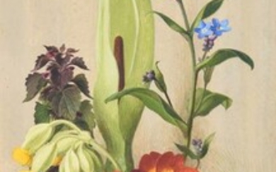 λ Eliot Hodgkin (British 1905-1987), Flowers in May
