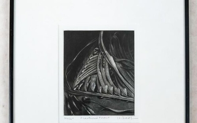 H. ZAAS: "Fractured Fronds" - Etching
