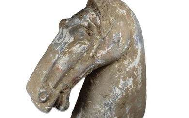 Horse head - Terracotta - China - Han Dynasty (206 B.C.- 220 A.D.)