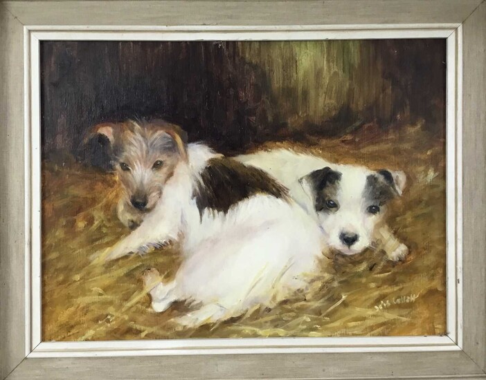 Iris Collett (b. 1938), oil on board, Two terrier dogs, signed, in painted frame. 29 x 39cm.