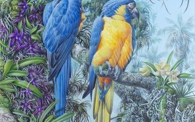 Johnston original watercolor of Blue Throated Macaws.