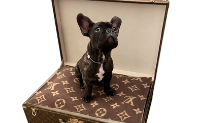 Louis Vuitton - Valise Bisten aménagée en Niche 2 Luxe pour petit chien - Handbag