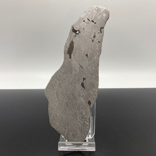 MOUNT DOOLING Iron Meteorite, VERY STRANGE, RARITY only 10 in the IC type world - 117.4 g