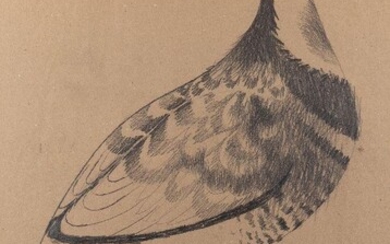 Mary Fedden OBE RA RWA, British 1915-2012 - Partridge, 1969; pencil on paper, signed and dated lower left 'Fedden 1969', 69.5 x 45.8 cm (ARR) Note: Mary Fedden is one of the most beloved British artists of the twentieth century, known for her...