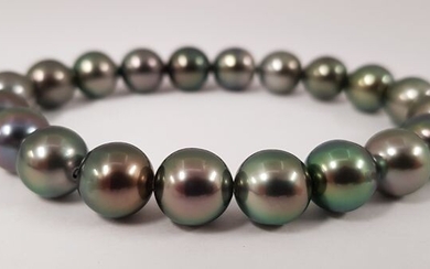 NO RESERVE PRICE - 9x10mm Shimmering Peacock Tahitian Pearls - Bracelet