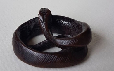 Netsuke - Wood - Coiled snake - Japan - Late 19th century